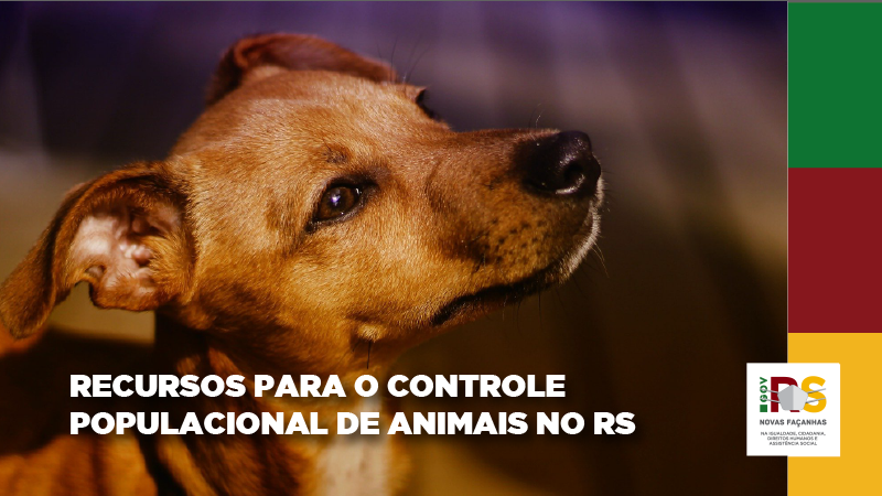CASTRAÇÕES 01